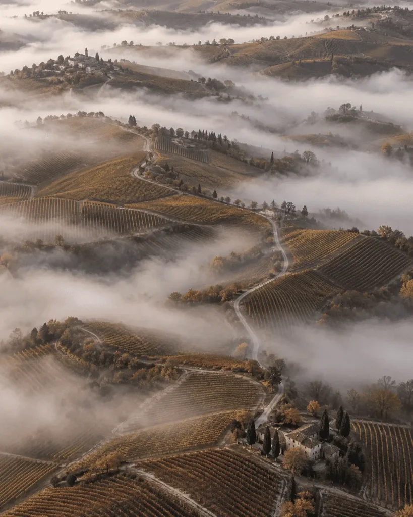 Veduta aerea autunnale delle Langhe dopo la vendemmia, con filari di vigneti sulle colline, strade sinuose e nebbia nelle valli.